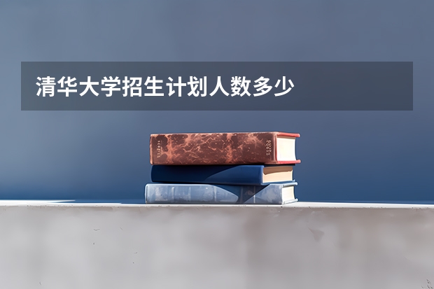 清华大学招生计划人数多少