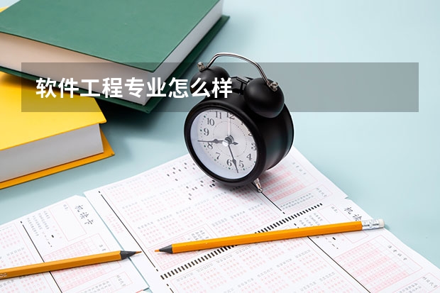 软件工程专业怎么样