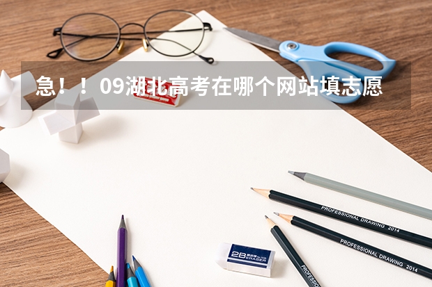急！！09湖北高考在哪个网站填志愿 查分数