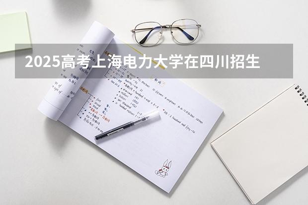 2025高考上海电力大学在四川招生计划（2026参考）