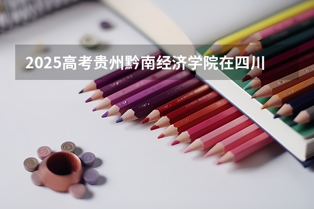 2025高考贵州黔南经济学院在四川招生计划（2026参考）