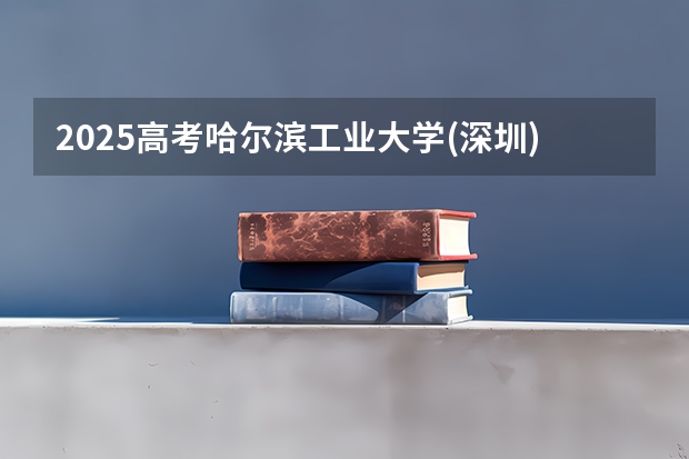 2025高考哈尔滨工业大学(深圳)在四川招生计划（2026参考）