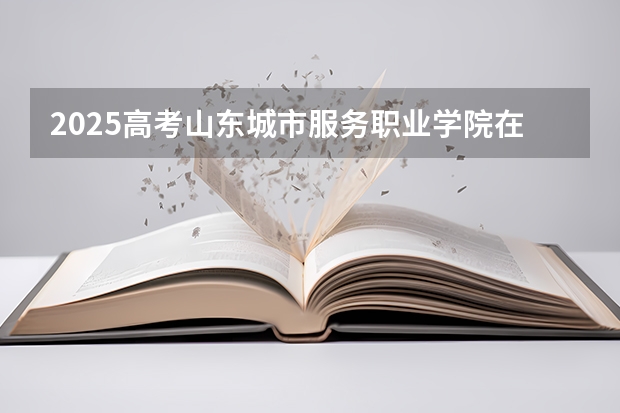 2025高考山东城市服务职业学院在四川招生计划（2026参考）
