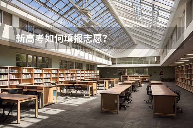 新高考如何填报志愿？